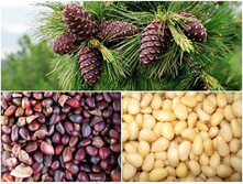 ���������� �������� ������ �� �������������!