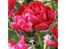 �������� �������� ������ ���-���� ���-�� 167,3 ���. ��. (� �������� 7 ��.). ������ �� 40 ��. ������� ������ �� 12 ��..jpg