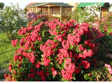 ����	Champlain