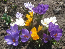 ������� 4.jpg