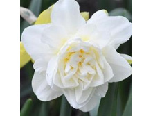 ���-���� ���-����� ��-��� 59,7 ���. ��. (� �������� 3 ��.). ������ �� 35 ��. ������� ������ �� 9 ��.!!!!!!!!!!!!!! ��������.jpg