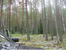 IMG 0078.JPG