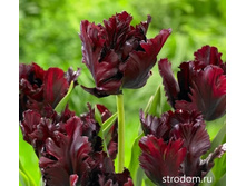 ������� ���������� ���-� ���-��� ���. ����4..jpg