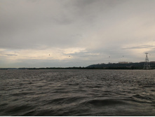 P 20170730 175106.jpg