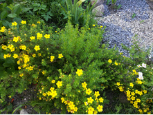 IMG 20170718 172159.jpg