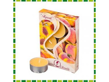 �� ����� ������ 6��, � �����.������, 12��, ������ ������ �������: ��508442