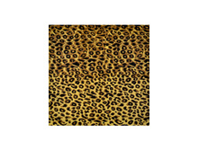 49,5 ���. - ����������� ����� �������� 55�55 ��