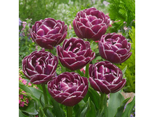 �������� �������� ������� ��-�� ��-� ���. ����.jpg