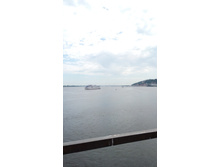 IMG 20170715 101305.jpg