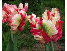 ������� ���������� ����-��� ���-������ ���. ����2.jpg