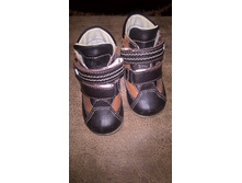 WP 20170327 19 58 26 Pro.jpg