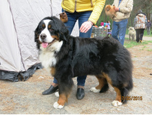 �-�� 17����.JPG