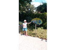 IMG 20170719 124525.jpg