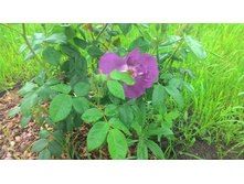 ���� �� ����