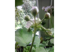 2016-06-02 14.08.06.jpg