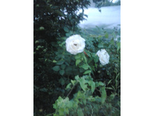 2016-07-27 20.35.02.jpg