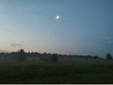 P 20170716 025923 HDR.jpg