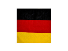 49,5 ���. - ���� ��� 55�55 ��