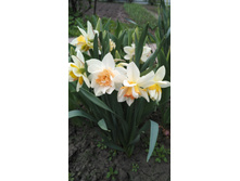 IMG 20170506 093715.jpg