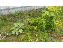 P 20170709 152630.jpg