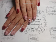 ������� ������ NVi (103).JPG