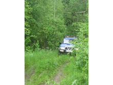 IMG 0064.JPG