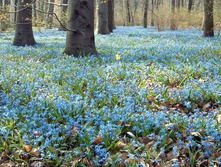 .�������� ���. ����3.jpg