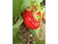 IMG 20170723 103109.jpg