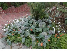 .��� � ����4.jpg