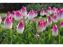 �������� ������������ ���-������ ��-�� ���. ����2.jpg