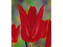 �������� ������������ ���-��� 111,3 ���. ��. (� �������� 7 ��.). ������ �� 50 ��. ������� ������ �� 12 ��. .jpg