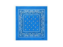 60 ���. - Paisley Cotton 55�55 ��