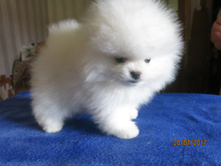 ���.����� 016.JPG