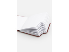 20306920001   Polon             (      ).jpg