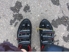 ���� ����� ��������