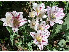 ������� �������������� ���-���� ��-�� ���. ���� 2..jpg