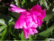 2017-06-20 14.29.44.jpg