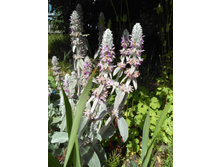 IMG 20170723 102428.jpg