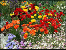 .������ � ����.jpg