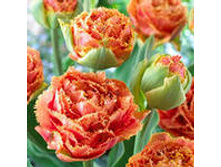 �������� �������� ������ ���-���� ��-� 188,3 ���. ��. (� �������� 7 ��.). ������ �� 40 ��. ������� ������ �� 12 ��..jpg