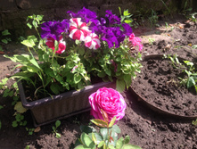 ����� ���� �� ������� ����������� (����������) � �������