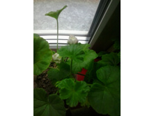 2015-10-18 13.06.59.jpg