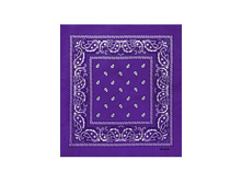 60 ���. - Paisley Cotton 55�55 ��