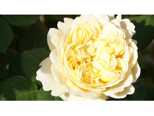 DSC07762 �� ����.jpg