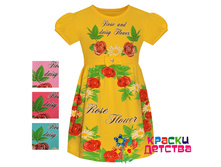 ������, �������: UN 2654, 425 ���