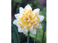 ���-���� ���-����� ��-�� ��-����-�� 69,7 ���. ��. (� �������� 3 ��.). ������ �� 45 ��. ������� ������ �� 9 ��.!!!!!!!!!!!!!! ��������.jpg