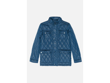 21100130003   Harvard        -     (   ).jpg