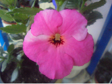 DSC05440.JPG