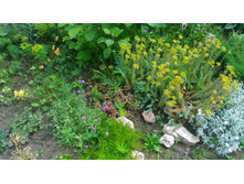 P 20170702 143400.jpg