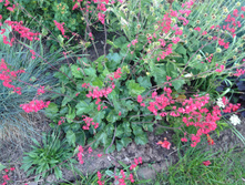 ������� �������-�������1.jpg